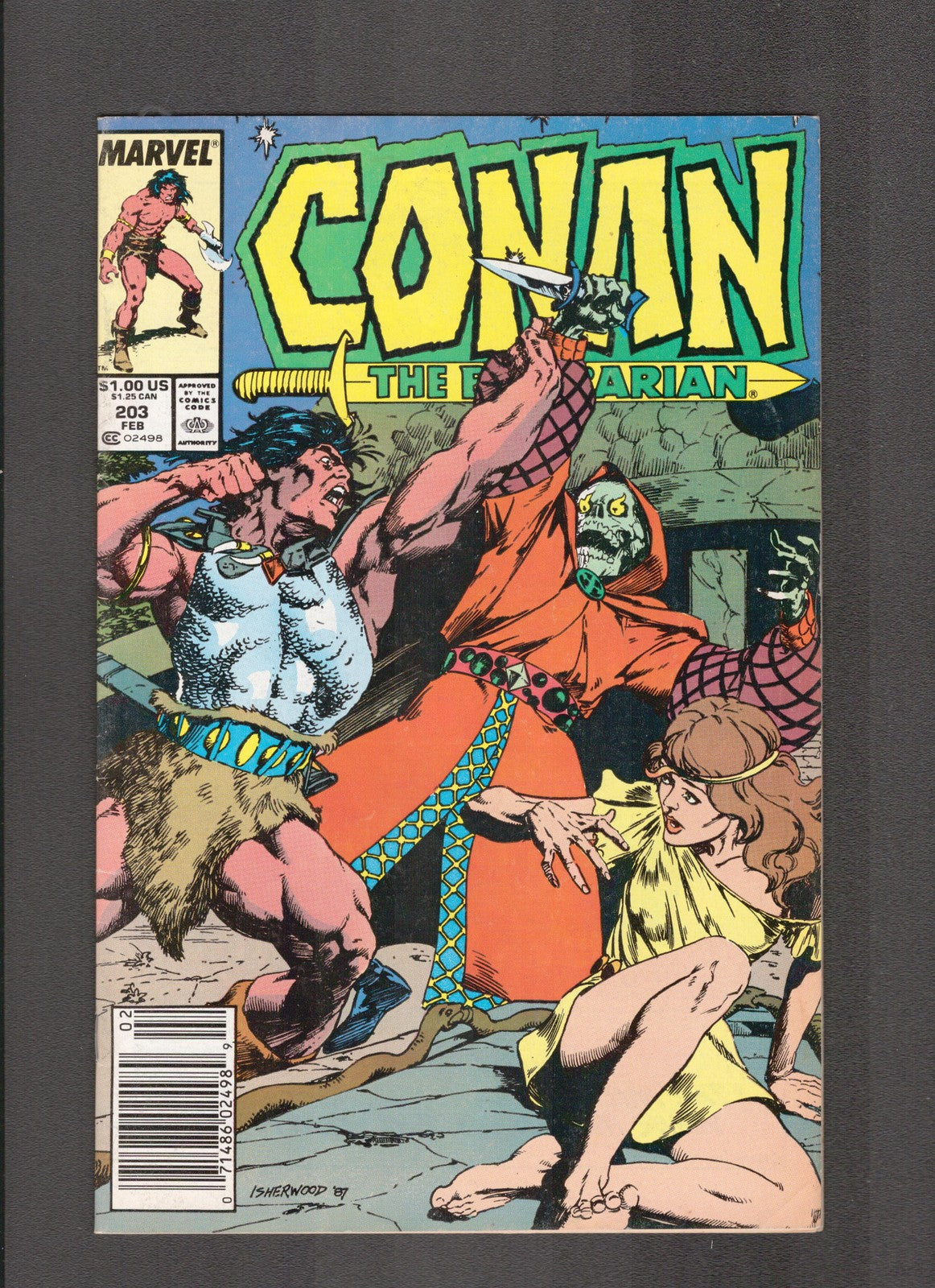 Conan the Barbarian #203 (1988) Geof isherwood Marvel Comics